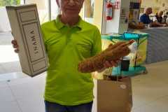 IMG-20231013-WA0100